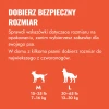 CK1E_EDU_1_PL.webp