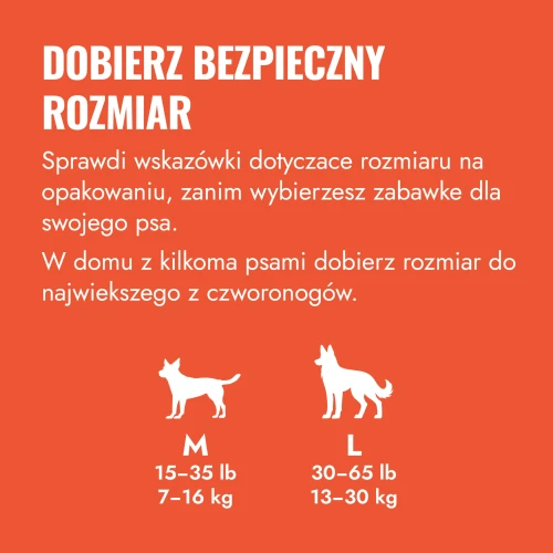 CK1E_EDU_1_PL.webp