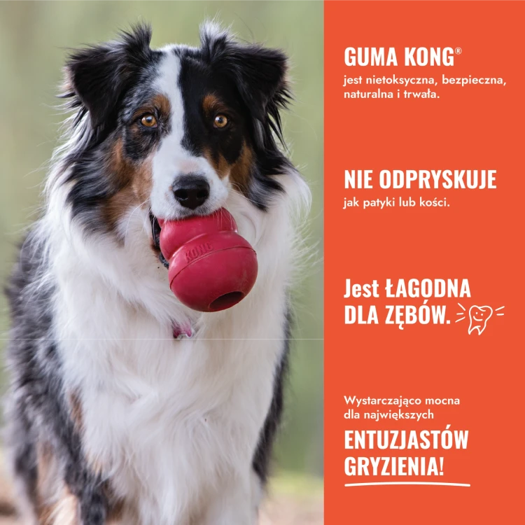CK1E_EDU_3_PL.webp
