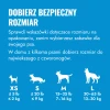 KP1BLZE_EDU_1_PL.webp