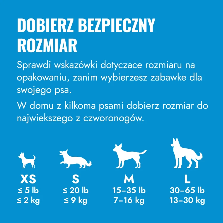 KP1BLZE_EDU_1_PL.webp