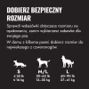 UB1E_EDU_1_PL.webp