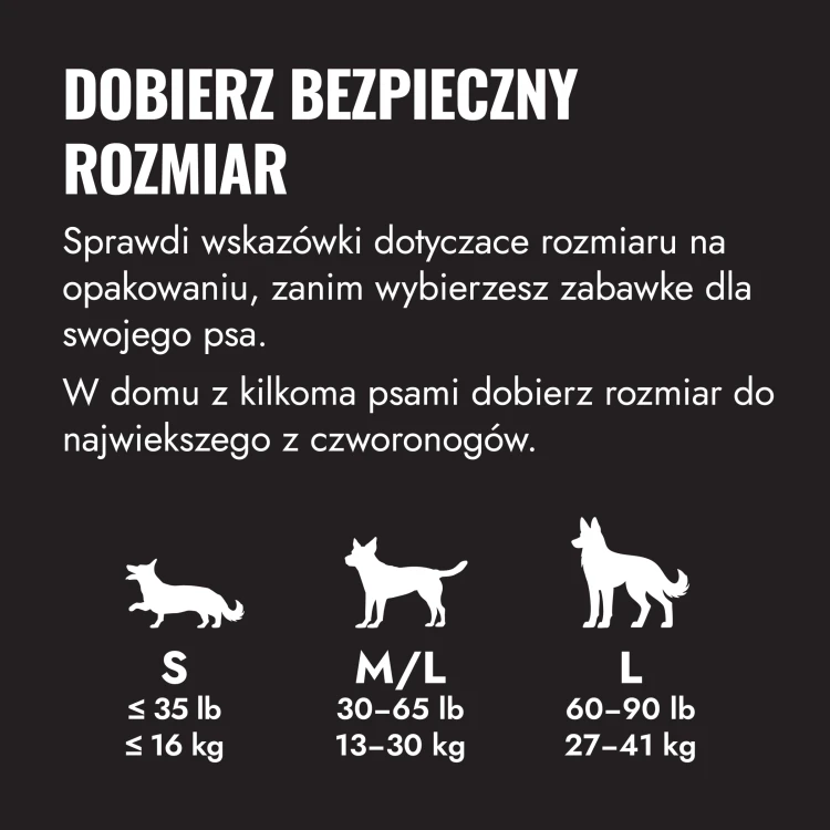 UB1E_EDU_1_PL.webp