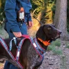 nowoczesna-obroza-lokalizacyjna-dog-gps-x40t-to-skuteczne-narzedzie-treningowe-dla-psow__mi001-4475.webp