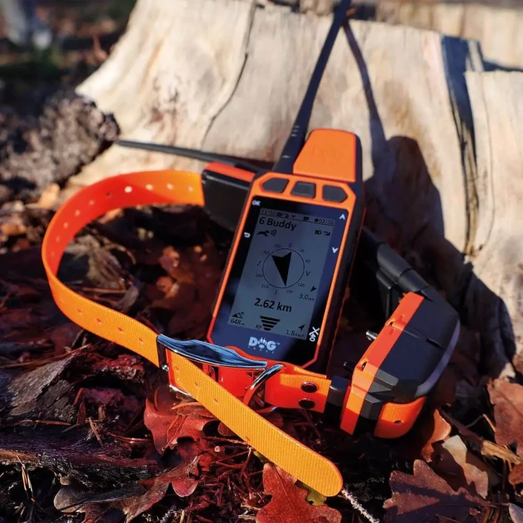 obroza-treningowa-dla-psow-z-gps-dog-gps-x40t-dogtrace__mi001-4480.webp
